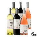 【お酒】【6本セット】 サントネージュ 日本ワインアソート 白・赤・ロゼ 各 瓶 750ml×2本:合計6本 【北海道・沖縄・離島配送不可】