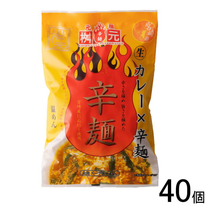 【40個】 元祖辛麺屋 桝元 カレー辛麺 149g×40個 【北海道・沖縄・離島配送不可】[NA](4)