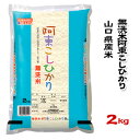 人気ランキング第24位「O9ショップ【オーナインショップ】」口コミ数「1件」評価「5」【山口県産米】【農協直販】 無洗米 阿東 こしひかり 2kg 【北海道・沖縄・離島配送不可】