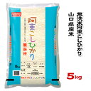 人気ランキング第23位「O9ショップ【オーナインショップ】」口コミ数「0件」評価「0」【山口県産米】【農協直販】 無洗米 阿東 こしひかり 5kg 【北海道・沖縄・離島配送不可】