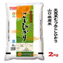 人気ランキング第21位「O9ショップ【オーナインショップ】」口コミ数「0件」評価「0」【山口県産米】【農協直販】 天恵米むつみ こしひかり 2kg 【北海道・沖縄・離島配送不可】