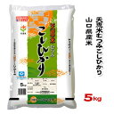 人気ランキング第8位「O9ショップ【オーナインショップ】」口コミ数「0件」評価「0」【山口県産米】【農協直販】 天恵米むつみ こしひかり 5kg 【北海道・沖縄・離島配送不可】