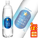 【1ケース】 ポッカサッポロ おいしい炭酸水 PET 1L×12本入 1000ml 【北海道・沖縄・離島配送不可】