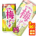 【3ケース】 サンガリア 香り爽やか梅ソーダ 缶 190g×30本×3ケース:合計90本 【北海道・沖縄・離島配送不可】