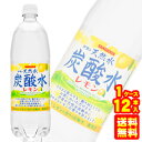 【1ケース】 サンガリア 伊賀の天然水炭酸水 レモン PET 1L×12本入 1000ml 【北海道・沖縄・離島配送不可】