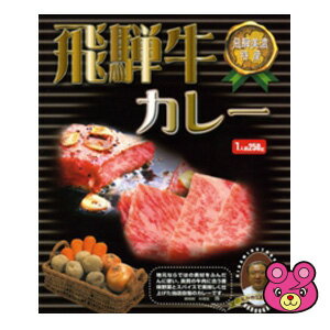 【全国送料無料】【メール便】 覇楼館 飛騨牛カレー 中辛 250g×2個セット ［郵便受けへの投函です］〔同梱不可〕