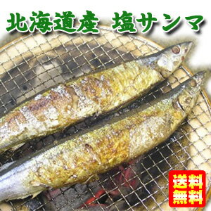 【林商店】 北海道産 塩サンマ 2尾×5パック さんま 【要冷凍】【クール便】【北海道・沖縄・離島配送不可】