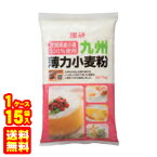 理研農産化工 九州薄力小麦粉 1kg×15袋入 【北海道・沖縄・離島配送不可】