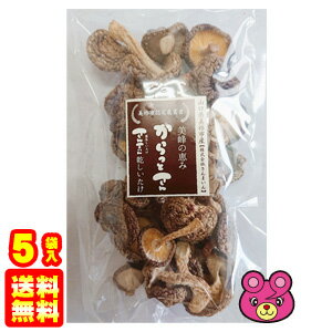 【1ケース】 さんまいん 乾し椎茸 からっとさん 無選別 50g×5袋入 干しシイタケ しいたけ 【北海道・沖縄・離島配送不可】