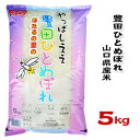 人気ランキング第9位「O9ショップ【オーナインショップ】」口コミ数「0件」評価「0」【山口県産米】【農協直販】 豊田 ひとめぼれ 5kg 【北海道・沖縄・離島配送不可】