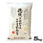 【山口県産米】【市川精米店】 徳佐こだわりのこしひかり 5kg 【北海道・沖縄・離島配送不可】
ITEMPRICE