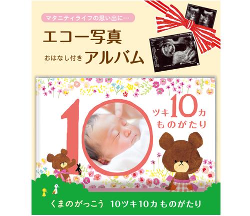 【送料無料】【くまのがっこう】エコー写真アルバム 10ツキ10カものがたり くまのがっこう 絵本 マタニティ 赤ちゃん ベビー 出産 誕生 記念 思い出 母子手帳 バレンタイン/ギフト/プレゼント