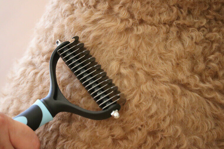 ��3��11��9:59�ޥǡ��ݥ����10�ܡ�������̵���ۡ�BluePet�ۥɥ��Ĥ����äƤ���������֥饷PRO�ڥ֥롼�ڥåȥ�����֥饷PRO�֥ۡ����ऴ�ä����