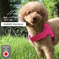 [Hakusan]着脱がとっても簡単で体に優しくフィットするT型ハーネス【ラビットハーネス】