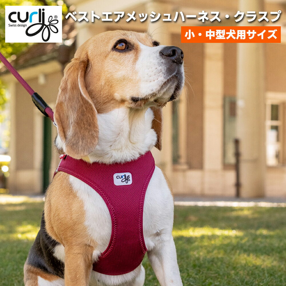 ポイント10倍！6月11日9:59マデ★ スイスデザイン【Curli】 ベストエアメッシュハーネス・クラスプ【CLASP/VEST AIR MESH HARNESS】 小・中型犬用サイズ