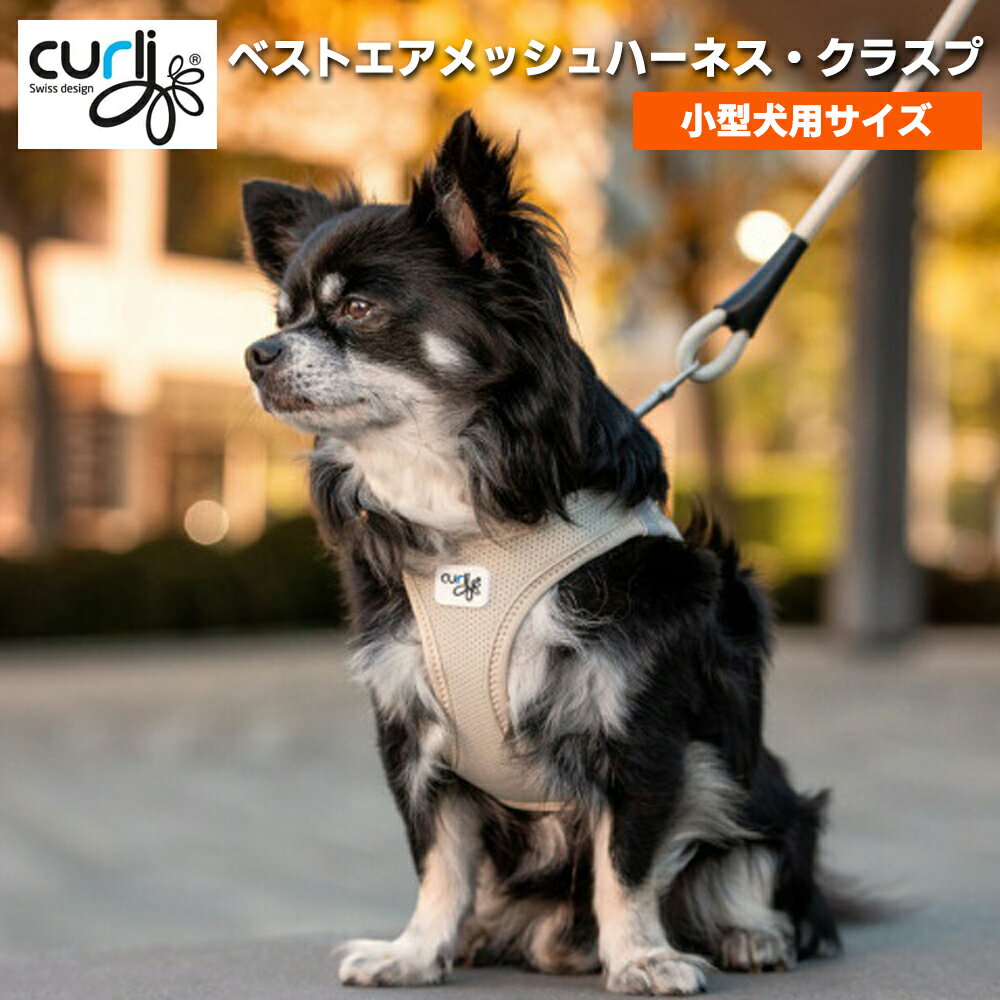 ポイント10倍！5月27日9:59マデ★ スイスデザイン【Curli】 ベストエアメッシュハーネス・クラスプ【CLASP/VEST AIR MESH HARNESS】 小型犬用サイズ