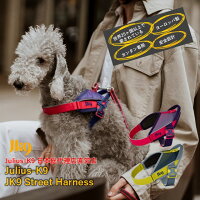 ＼5日9:59マデ★ポイント10倍...