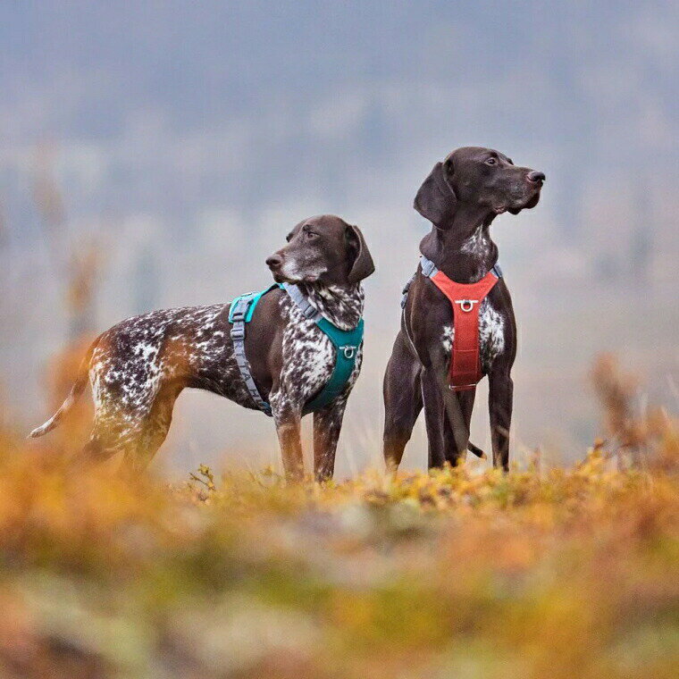 ＼5日9:59マデ★ポイント10倍...