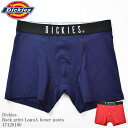 Dickies ディッキーズ DK Back print LogoA b