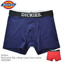 Dickies ディッキーズ DK Back print Big col