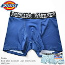 Dickies ディッキーズ DK Back print mountai