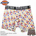 Dickies ディッキーズ DK Paved Logo boxer p