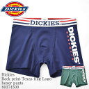 Dickies ディッキーズ DK Back print Texas f