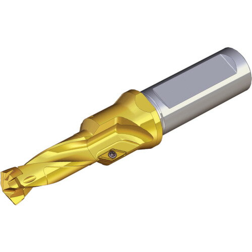 TAEGUTEC 򴹼ɥۥ ɥå TCD 068X21X12T3-M8 4588