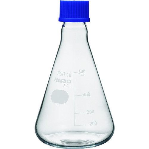 HARIO Ǯͤѥե饹 500ml NSF-500-SCI