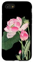 iPhone SE (2020) / 7 / 8 咲く蓮の花 蓮の花 ハス ヴィンテージ 日本美術 小原古邨 新版画 スマホケース