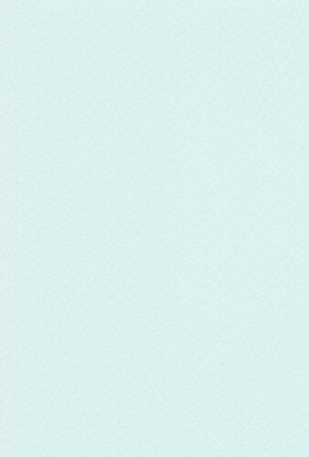 エスケント 水彩紙 マーメイド 153kg 八切 みずいろ 100枚 371318