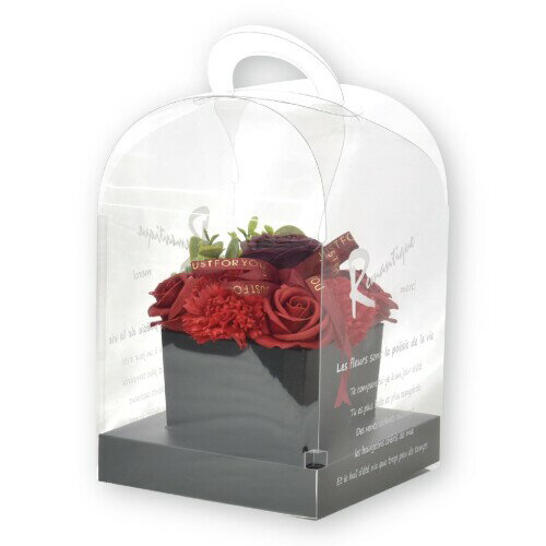 ポピー名古屋 ソープフラワー シャボンフラワー 造花 ギフト プレゼント フラワーボックス バラ box 約15cm クリアケース付き S-203 レッド