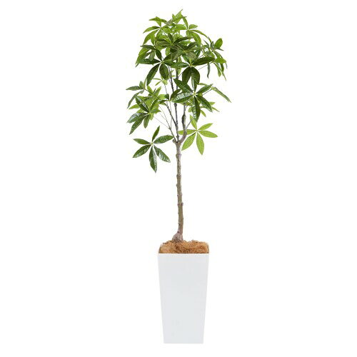 Botanical life+ フェイクグリーン 観葉植物 光触媒 大型 消臭 抗菌 パキラ 140cm Kシリーズ