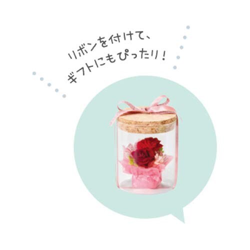 �ѥ��� ���륯�ӥ� �ʥ����� 9.5��9.5��11cm 48-03S-NL