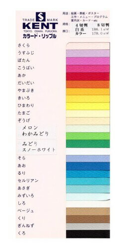 エスケント 水彩紙 マーメイド 153kg 八切 うすふじ 100枚 371118