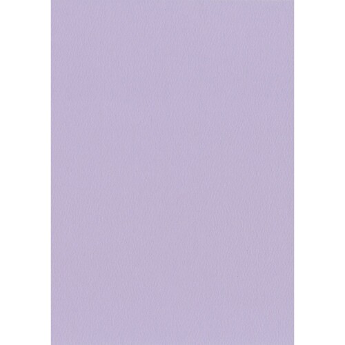 エスケント 色画用紙 スターウェーブ 八切 ビオラ 100枚 5008823