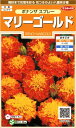サカタのタネ 実咲花7634 マリーゴールドボナンザ スプレー 00907634