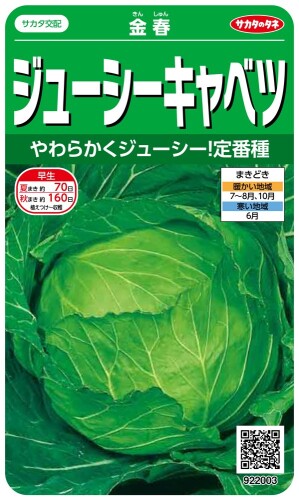 サカタのタネ 実咲野菜2003 ジューシーキャベツ 金春 00922003