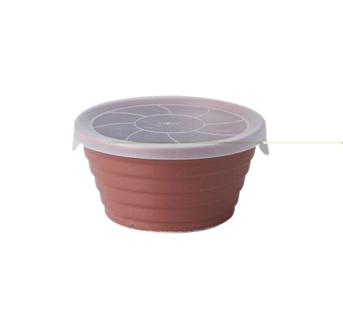 TAMAKI Ag+コート エージプラスコート 抗菌で清潔 全5色 デリボックス Sサイズ 270ml 電子レンジ対応 食洗器可能 レッド T-938904