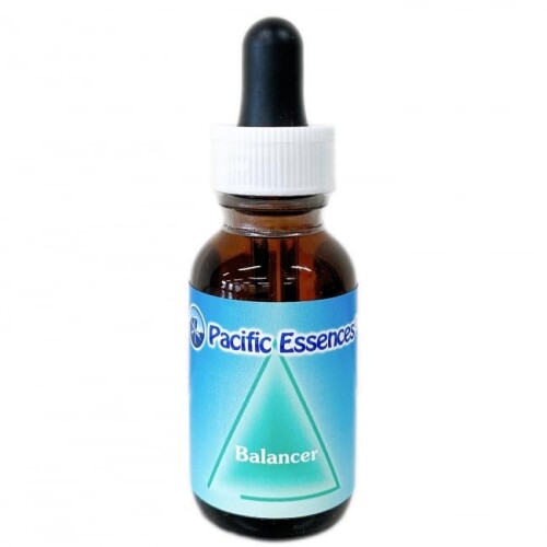 �ѥ��ե��å����å��� �Х�󥵡� ���å���