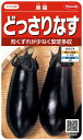 サカタのタネ 実咲野菜0200 どっさりなす 黒福 00920200