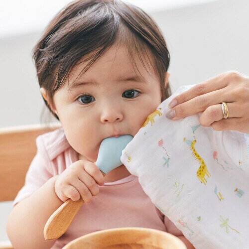 aden + anais エイデンアンドアネイ ガーゼタオル イヤーオブスネーク 3枚セット 3...