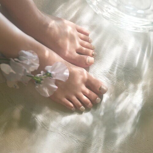 BeautyAvenue(�եå�) ���ȥ�������ǡ������ 7001111