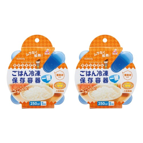 キチントさん ごはん冷凍保存容器 一膳分 250ml 5個入り