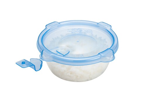 キチントさん ごはん冷凍保存容器 一膳分 250ml 5個入り