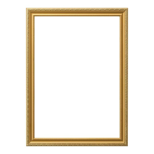 大仙 額縁 OA額 金消 R A3 樹脂製 箱入 J045C6300