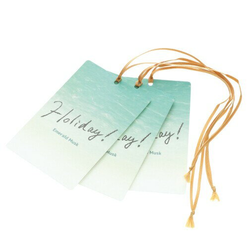 カーメイト(CARMATE) 吊り下げ芳香剤 (3枚セット)車 クローゼット 部屋 ホリデームスクシリーズ (エメラルドムスクの香り) H1773