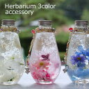 ハーバリウム アクセサリ 3色 オーバル プレゼント お誕生日 父の日 母の日 花 プリザーブドフラワー アーティフィシャルフラワー 送料無料 ha_0403