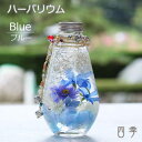 ハーバリウム アクセサリ ブルー オーバル プレゼント お誕生日 父の日 母の日 花 プリザーブドフラワー アーティフィシャルフラワー 送料無料 ha_0403...