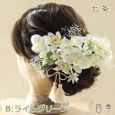 髪飾り 成人式 胡蝶蘭 七条 Bライムグリーン ヘッドドレス プリザーブドフラワー かすみ草 結婚式 白無垢 和装 花嫁 和婚 神前式 造花【送料無料】K_0411b